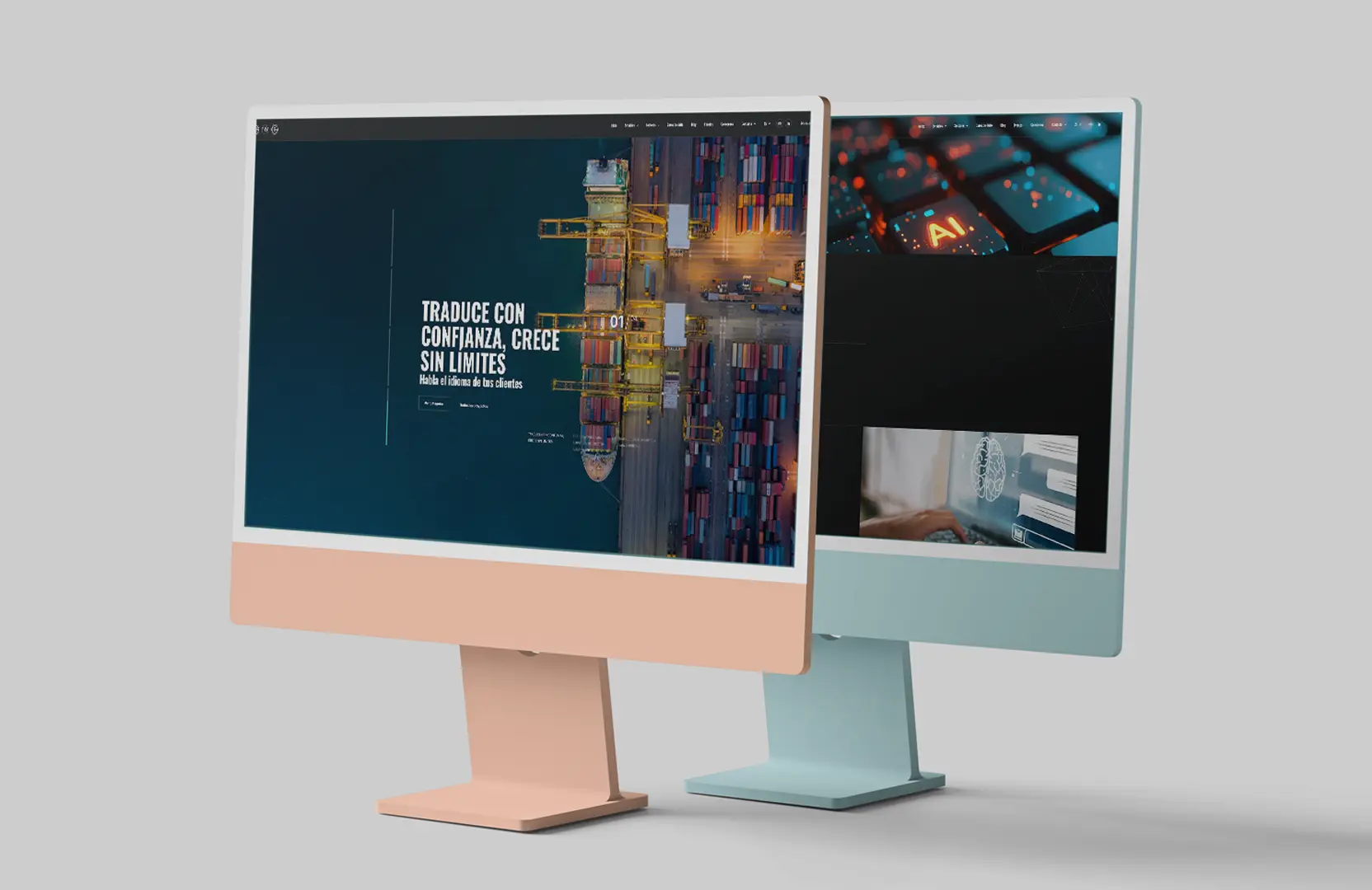 Desarrollo web corporativo y posicionamiento global - Proyecto Globalingua